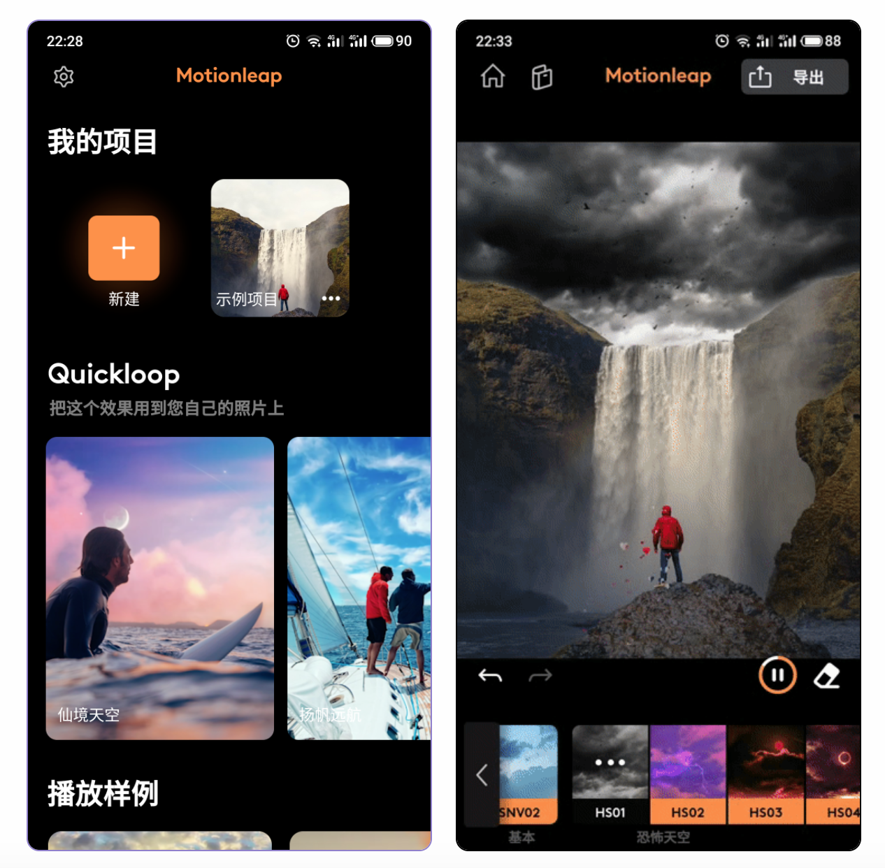 Motionleap—专业版