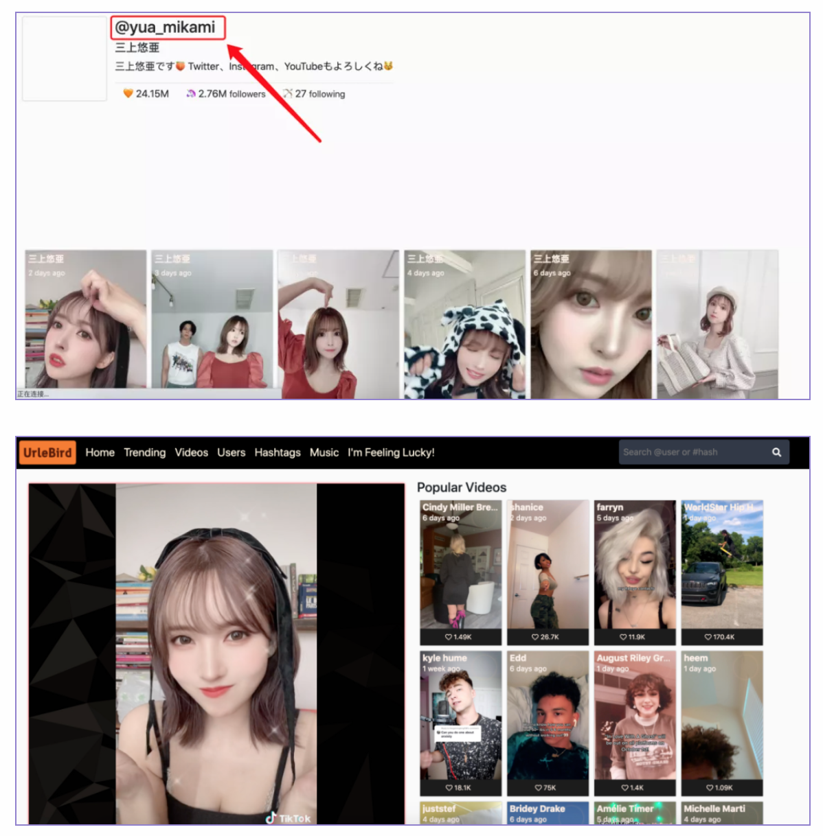 Urlebird—无需特殊工具 即可看国外精选